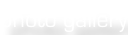 shapeimage_4_link_0