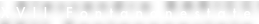 shapeimage_27_link_2